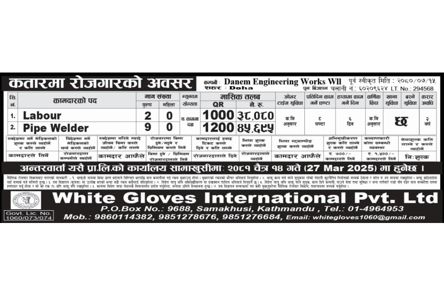 DANEM ENGINEERING WORKS ADD